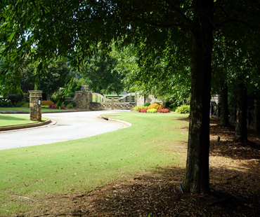 Entrance Landscaping